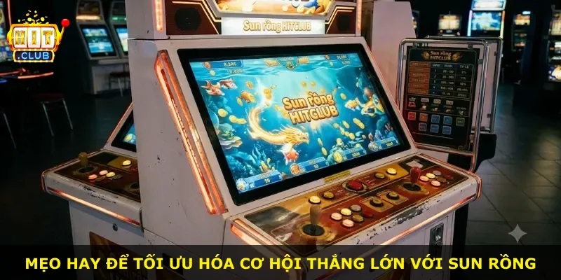 Mẹo hay để tối ưu hóa cơ hội thắng lớn với Sun rồng