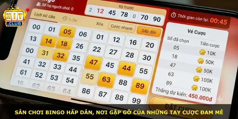 Sân chơi Bingo hấp dẫn, nơi gặp gỡ của những tay cược đam mê
